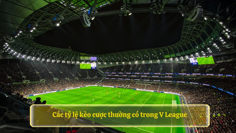 Các tỷ lệ kèo cược thường có trong V League